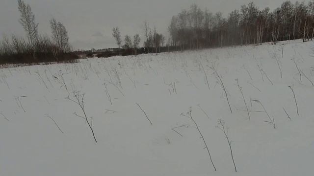 Охота на СИБИРСКУЮ КОСУЛЮ. Закрытие сезона. Зимний лес. МЦ 21-12. смотреть онлайн