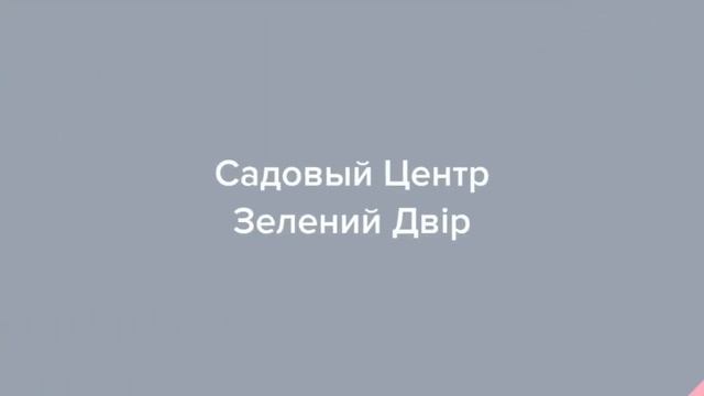 Садовый Центр Зелений Двір - ТУЯ ЗАПАДНАЯ ELLWANGERIANA С3 смотреть онлайн
