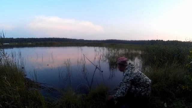 Ловля крупного карася на о.Маненок 29.07.18. смотреть онлайн