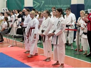 Karate. Bassai Dai. Разбор Ката Бассайдай