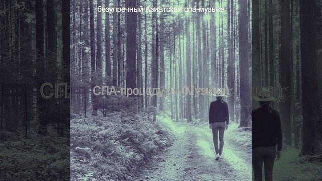 Мечты (Здоровье)