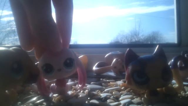 Клип здесь море и песок 😻😻😻😻😻😻😻😻😸😸😸😸😸😸 смотреть онлайн