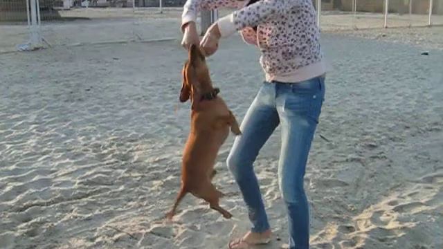 Моя ТАКСА смотреть онлайн