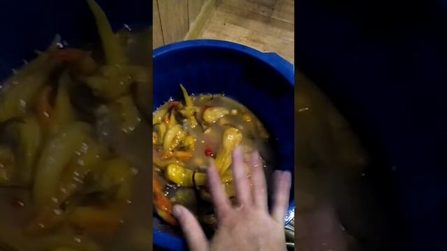 Готовка на Открытом Воздухе