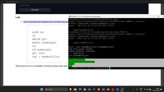 GIT Basic Commands|GIT- Part 2| How to Master DevOps - EPS:15@devopswallah смотреть онлайн