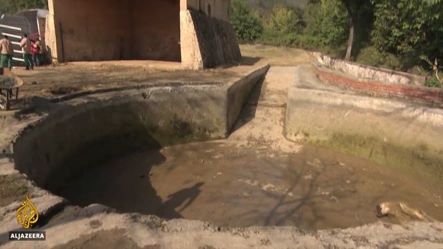 Pakistanis Celebrate Release Of 'world's Loneliest Elephant'