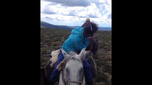 Путешествие по тайге. Тува 2014 г. смотреть онлайн