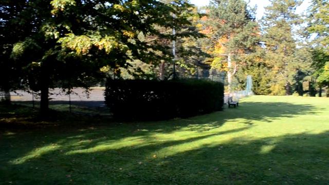 Волчье логово. Уникальный хвойный парк в департаменте Nord, Франция. смотреть онлайн