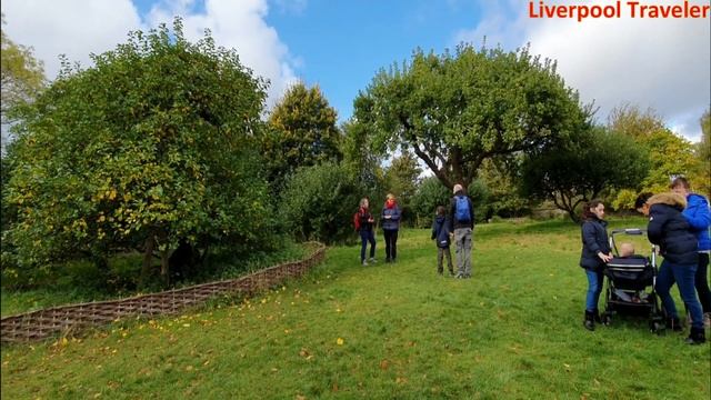 Isaac Newton House and Apple Tree смотреть онлайн