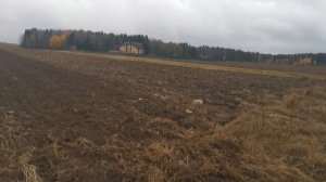 КУПИЛ КУЛЬТИВАТОР КПС 2,8 И ШТРИГЕЛЬНУЮ БОРОНУ