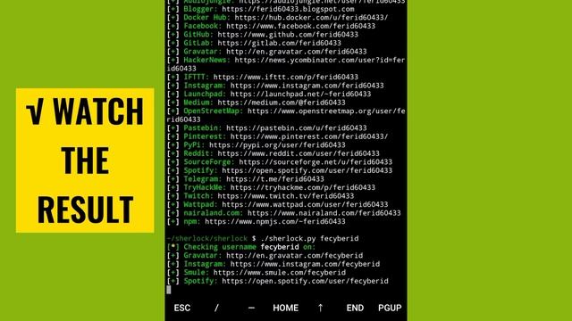 HUNT DOWN USERNAMES ACROSS SOCIAL MEDIA using your phone with SHERLOCK in TERMUX | PART III смотреть онлайн