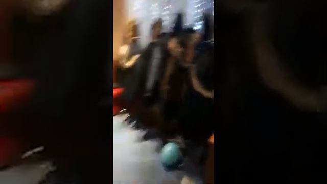 РЖАКА ПО ПОЛНОЙ (песня: Незабудка) смотреть онлайн