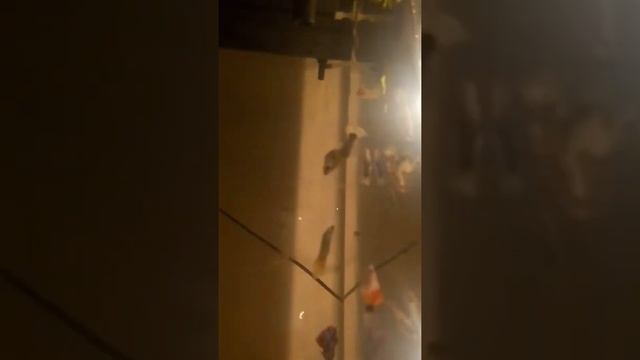 Гуппи уход содержание и розмножение смотреть онлайн