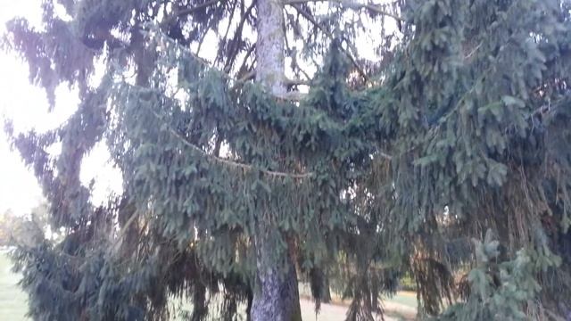 Samsung Galaxy Note II - przykładowy film смотреть онлайн