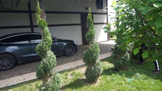Топиар в молодом саду! смотреть онлайн