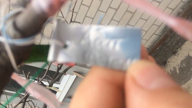 Как правильно и надолго подписать сорт на сделаной прививке или окулировке смотреть онлайн