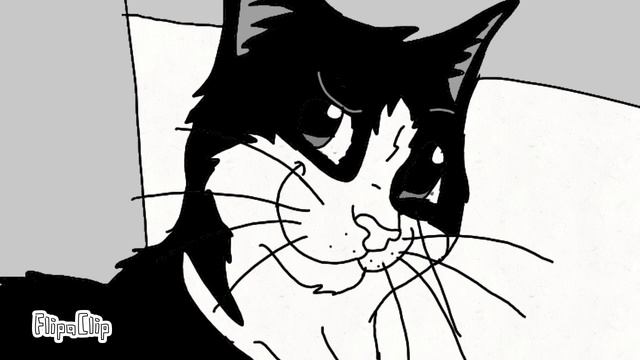 Кот Феликс (не реклама)