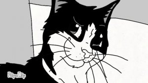 Кот Феликс (не реклама)