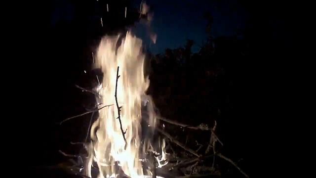 Реалити-шоу "ДАЧА": Ларионов остров,История пожара,Опасная находка смотреть онлайн