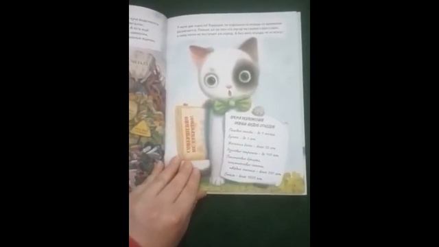 Видеообзор на книгу Евгении Русиновой "ЭКОагенты Леша и коты спасают планету!" смотреть онлайн