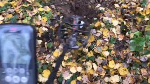 Эквинокс 800 тест на чешую большая катушка