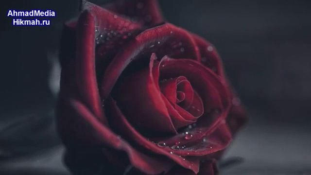 Мама это самое главное она нас родила и воспитала!! Будьте уважительны к радителем не бросайте их смотреть онлайн