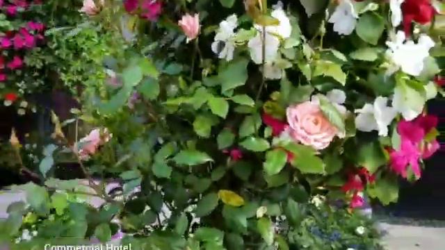 Commercial Hotel St Just Cornwall - Garden Tour смотреть онлайн