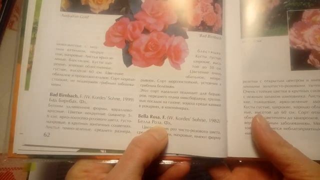 Мои впечатления от прочтения книги Елены Токаревой "Пионы. Полный справочник" смотреть онлайн