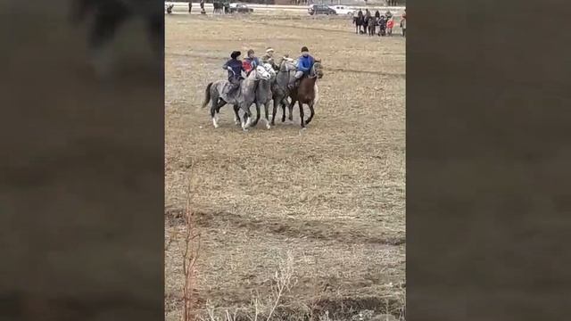 Чон-Кемин Шабдан Кок-бору смотреть онлайн