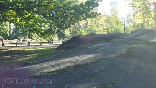 МОПС ТЕТЯ ПЕС / МОПС ДЯДЯ ПЕС / #МОПС #life в #NYC #БЛОГИ #Vlog #USA смотреть онлайн