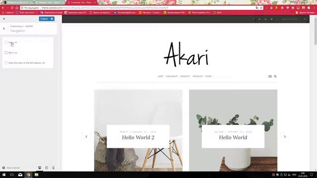 Akari - Elegant WordPress Blog Theme смотреть онлайн
