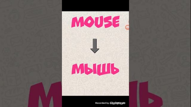Как с английского нa русский переводится слово mouse смотреть онлайн