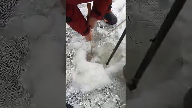 Зимний судак на Волге 18+ смотреть онлайн