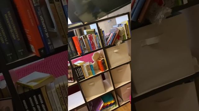 Лучший релакс-уборка в книжном шкафу?? смотреть онлайн