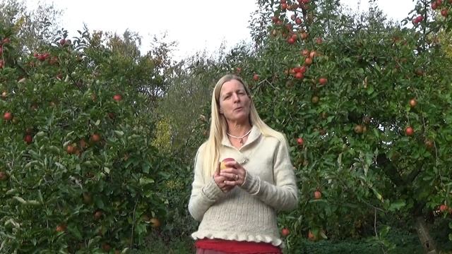 The Jonagold apple - so good! смотреть онлайн