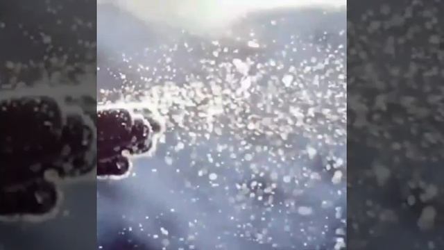 Первый снег!!! Началась настоящая зима