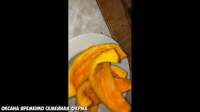 Первый прикорм / Пюре из ТЫКВЫ ? смотреть онлайн