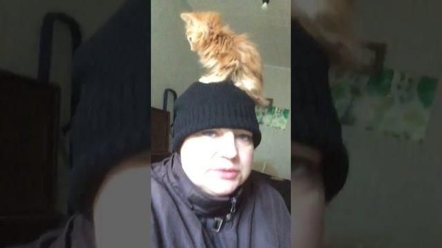 4 ноября 2023 г. смотреть онлайн