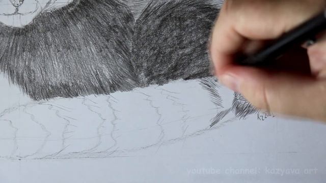 Как нарисовать шерсть Красной панде. Обучающий мастер класс. Часть 2 смотреть онлайн