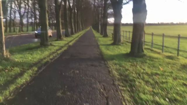 Осень, Новый год, Зубы, Март! смотреть онлайн