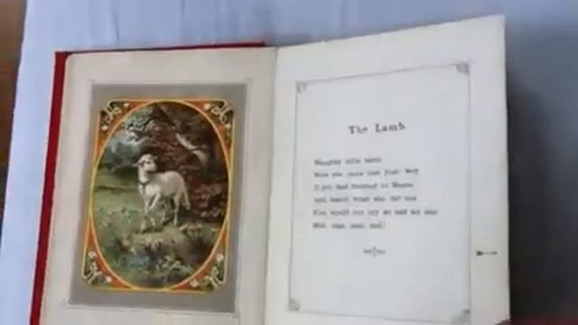 Speaking Picture Book смотреть онлайн