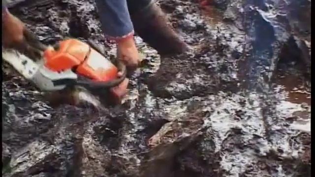 Коряги для аквариума