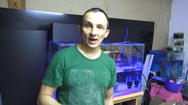 Фильтр сделал-переделал! Пора ехать за кораллами! смотреть онлайн