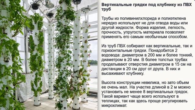Вертикальная грядка для клубники: как сделать, правила посадки, подготовка к зиме смотреть онлайн
