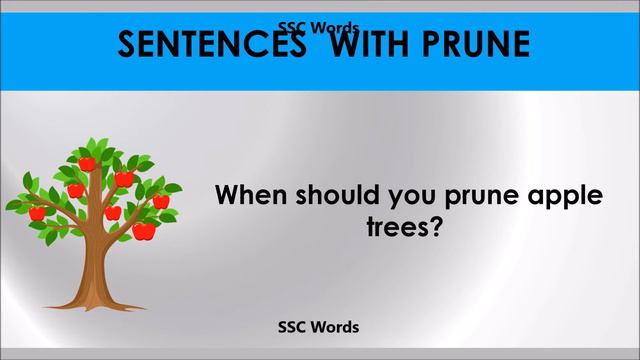 Prune # Improve English # Meaning and 5 sentences # GRE CAT GMAT word # SSC Words смотреть онлайн