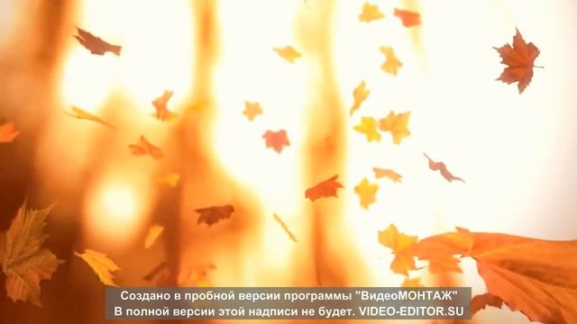 Music for Meditation !!??? #МУЗЫКА#Релакс#медитация#сон смотреть онлайн