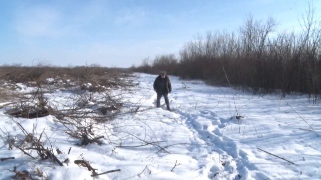 Выкорчевка старых садов в Ростовской области. смотреть онлайн