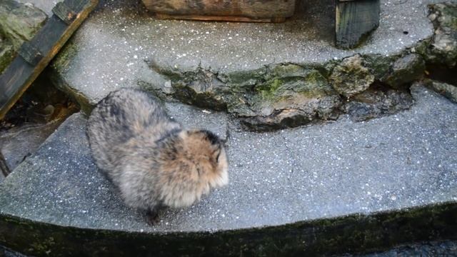 Жители ялтинской 