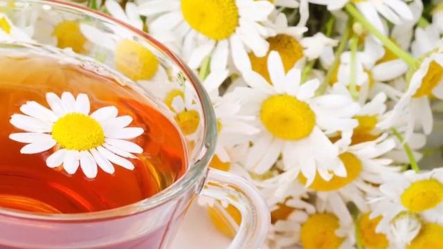 РОМАШКА ЛЕКАРСТВЕННАЯ / ЛЕЧЕБНЫЕ СВОЙСТВА смотреть онлайн