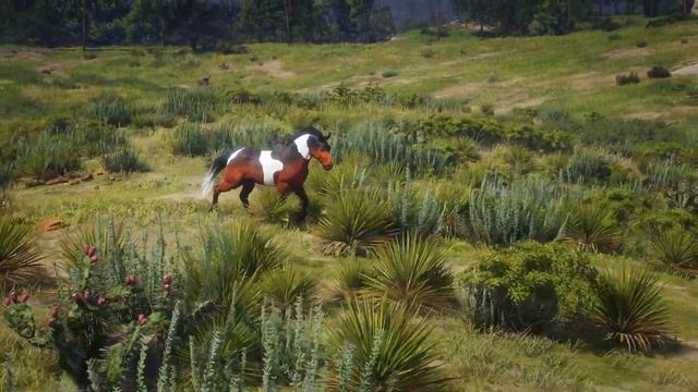 15+ MAGICAL FANTASY HORSES | Red Dead Redemption 2 смотреть онлайн